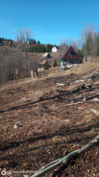 Cabana de vânzare la Muntele Băișorii
