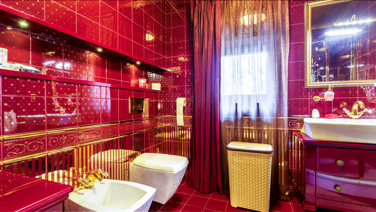 Reședință de Lux , Arhitectură Imperială și Dotări Smart Home”