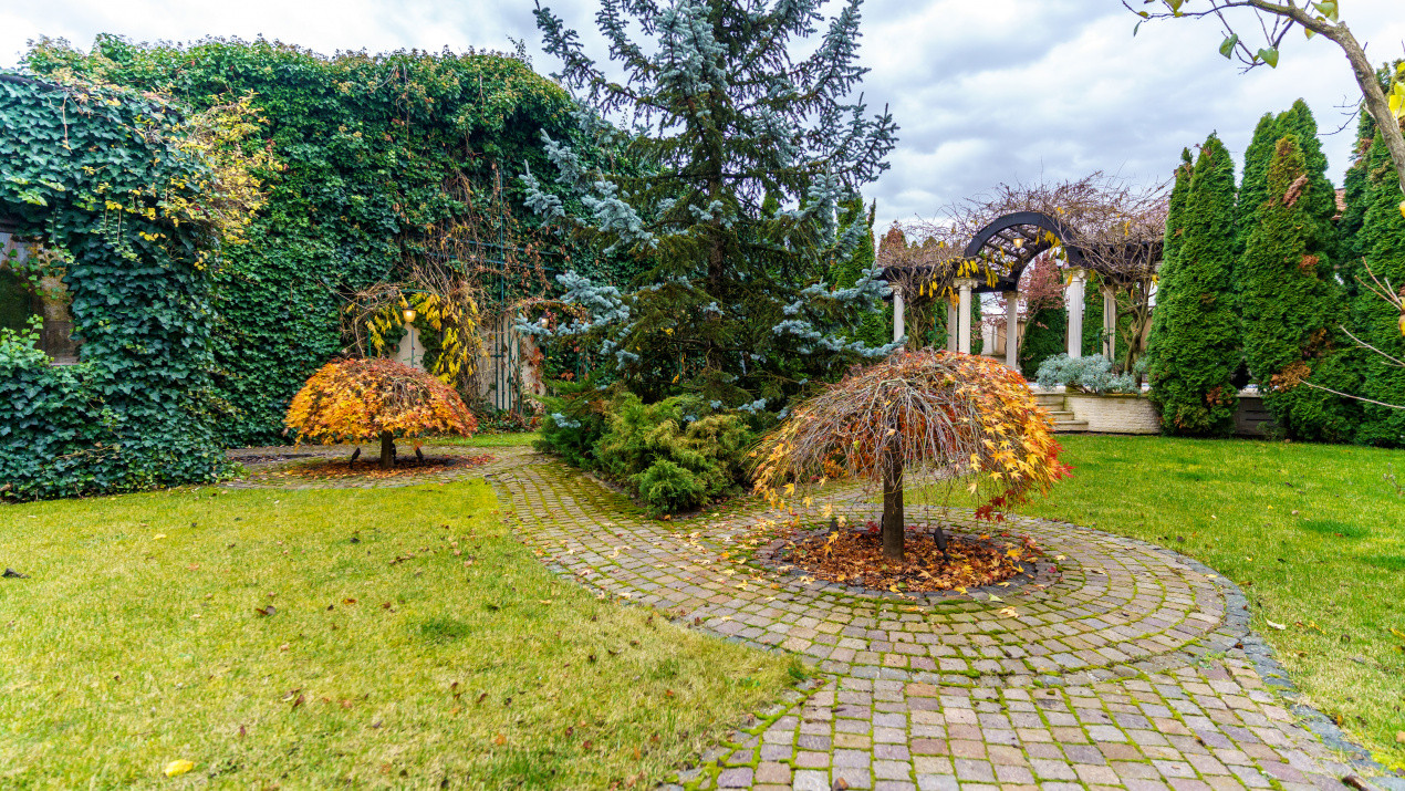 Reședință de Lux , Arhitectură Imperială și Dotări Smart Home”