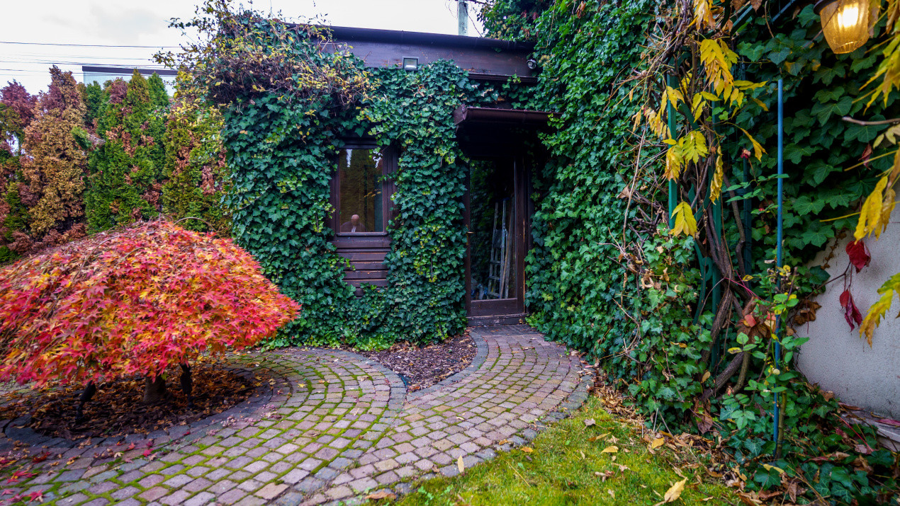 Reședință de Lux , Arhitectură Imperială și Dotări Smart Home”