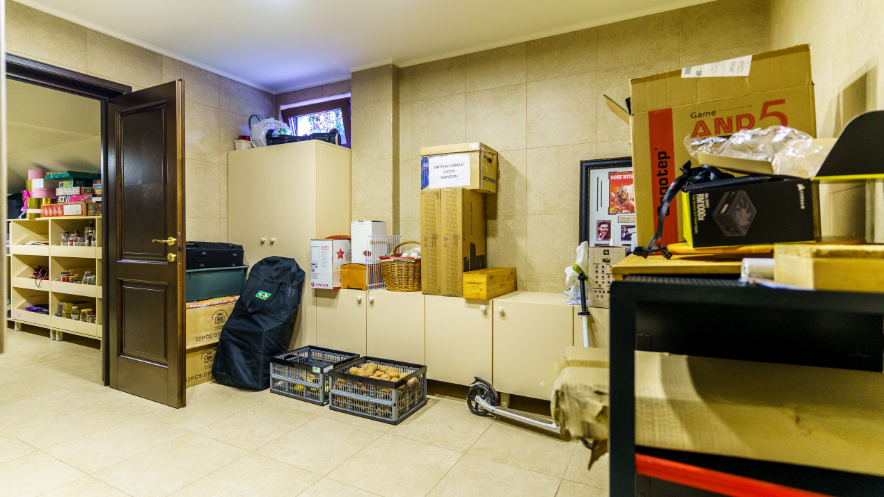 Reședință de Lux , Arhitectură Imperială și Dotări Smart Home”